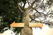 Illustration: environment past future tree sign environment past future tree sign