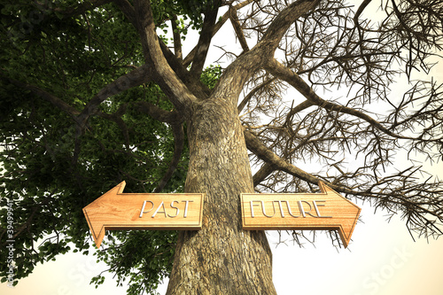 Illustration: environment past future tree sign environment past future tree sign
