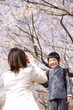 桜の下で息子の写真を撮る母親