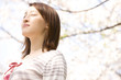 お花見をしている女性