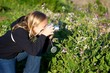 Photographing Flowers