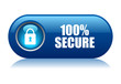 100 secure vector button