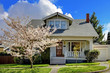 Little old cute house with a blooming cherry tree.