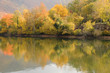 Reflets sur l'eau