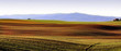 Paesaggio tipico della Toscana, Italia Paesaggio tipico della Toscana, Italia