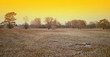 Foto: Naturschutzgebiet Naturschutzgebiet