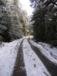 camino en la nieve