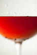 vino fresco