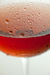 vino fresco