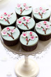 Cherry blossom cupcakes