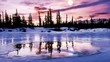 Pink Winter HD loop