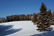 Winterlandschaft