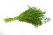 Fennel bunch on white background Fennel bunch on white background