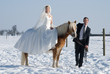 Brautpaar mit Pferd im Winter