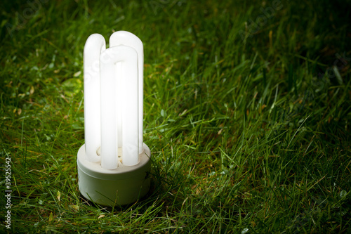 Photo: energy saving lamp on the grass energy saving lamp on the grass