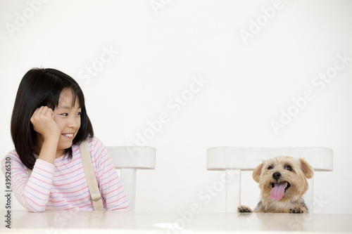 Photo: ノーフォークテリアを見つめる笑顔の女の子 ノーフォークテリアを見つめる笑顔の女の子