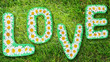 Love from wild camomiles Love from wild camomiles