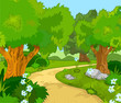 Forest Landscape
