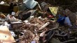 illegal dump