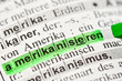 amerikanisieren