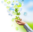 Green solution