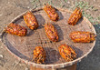 The dried out tamarind
