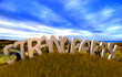 3D Strand - Strandparty