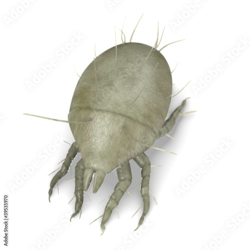 Illustration: 3d render of mite bug 3d render of mite bug