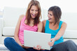 Young woman proudly showing the laptop screen to her friend