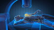 x-ray examination