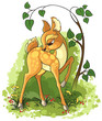Vector: Young deer on the summer glade Young deer on the summer glade