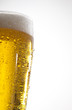 Bier
