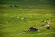 Prati e Capanni sull'Alpe di Siusi 2