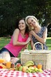 Gorgeous Smiling Women Friends at Picnic Gorgeous Smiling Women Friends at Picnic