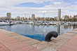 Alicante