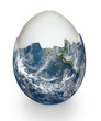 planter earth like broken egg shell isolated on white
