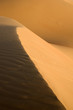 Desert Dune of Abu Dhabi