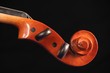 Foto: Violino Violino