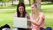 Video: Two friends talking and laughing as they look use a laptop while sitting in a park Two friends talking and laughing as they look use a laptop while sitting in a park