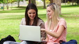 Video: Two friends talking and laughing as they look use a laptop while sitting in a park Two friends talking and laughing as they look use a laptop while sitting in a park
