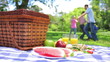 Video: Family dancing in a ring in the background with a platter on a picnic basket in the foreground Family dancing in a ring in the background with a platter on a picnic basket in the foreground
