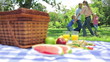 Video: Family dancing in a cirlcle in the background with a platter on a picnic basket in the foreground Family dancing in a cirlcle in the background with a platter on a picnic basket in the foreground