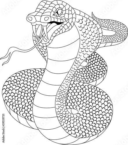 Vektor: Cobra tattoo Cobra tattoo