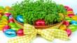 Timelapse - growing seedlings and chocolate eggs  (Easter)