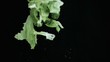 Lettuce thrown upwards in super slow motion
