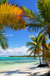 Caribbean paradise