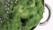 Kale being washed in super slow motion
