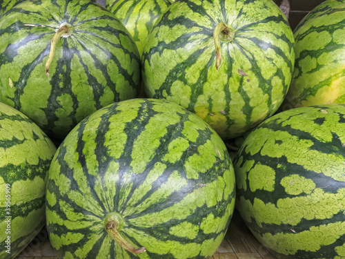 Photo: Watermelon Watermelon