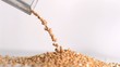 Video: Peanuts falling down in super slow motion Peanuts falling down in super slow motion