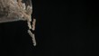 Pasta falling down in super slow motion